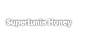 Supertunia Honey
